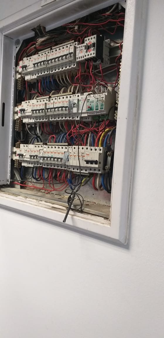 WhatsApp Image 2025-04-01 at 07.56.05