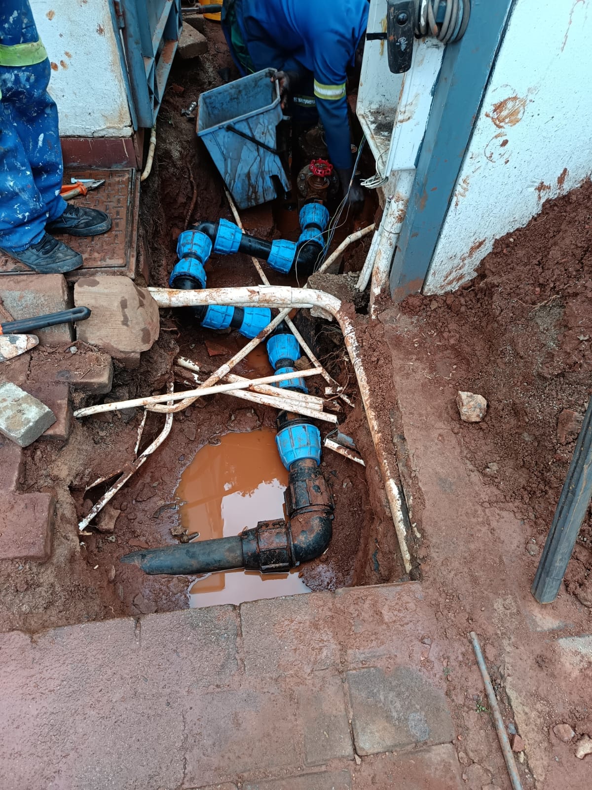 WhatsApp Image 2025-07-08 at 09.51.26